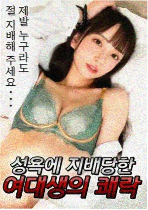 剧集分包与整包选择建议资讯配图
